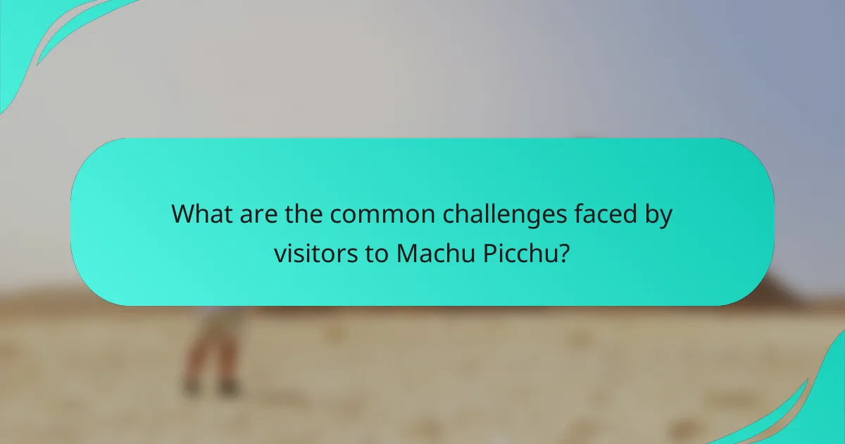 What are the common challenges faced by visitors to Machu Picchu?