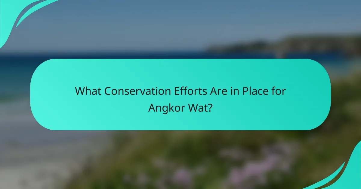 What Conservation Efforts Are in Place for Angkor Wat?