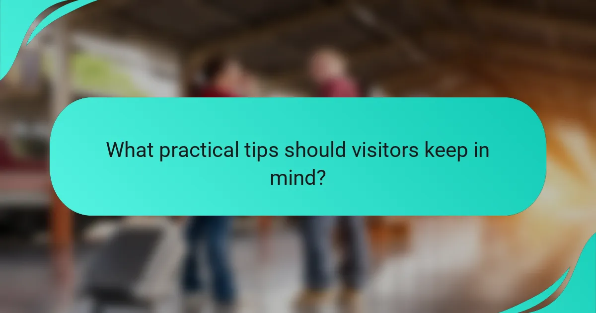What practical tips should visitors keep in mind?