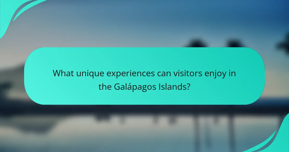 What unique experiences can visitors enjoy in the Galápagos Islands?